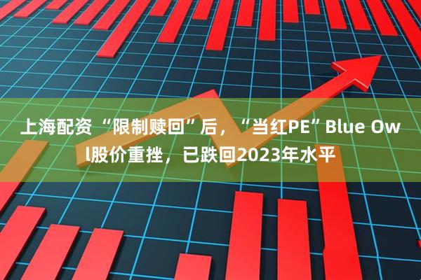 上海配资 “限制赎回”后，“当红PE”Blue Owl股价重挫，已跌回2023年水平